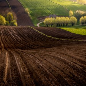 Plener fotograficzny na Ponidziu