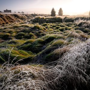 Góry Izerskie warsztaty fotograficzne